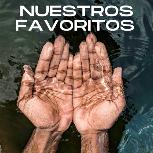 Nuestros Favoritos